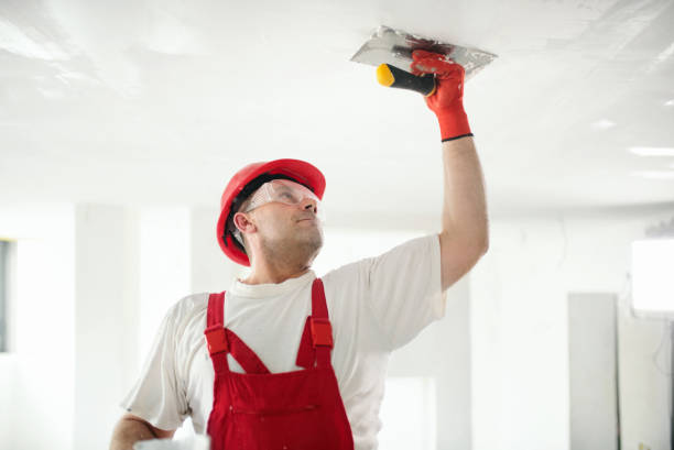 Best Interior Painting  in Bloomington, IL